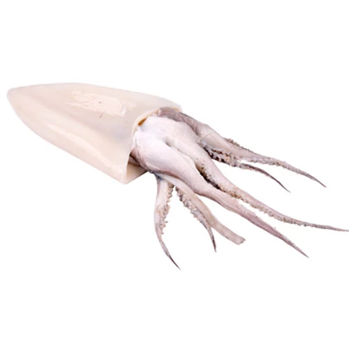 livraison Seiche noire Soubya Chouabi صوبية soubia courses en ligne Gabes Tunisie supermarché vente en ligne poisson soubia produits alimentaires livraison soubya poisson Gabes