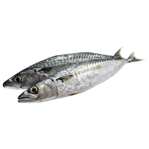 livraison Saurel Chourou jaune شورو courses en ligne Gabes Tunisie supermarché vente en ligne poisson produits alimentaires livraison Chourou poissons Gabes