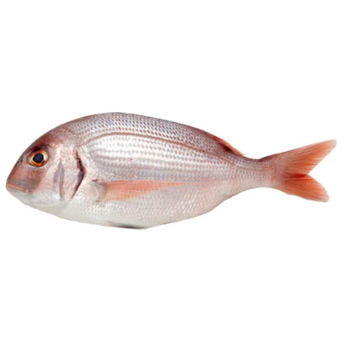 Pageot Morjaneمرجان courses en ligne Gabes Tunisie supermarché vente en ligne produits alimentaires livraison morjane poisson Gabes Tunisie