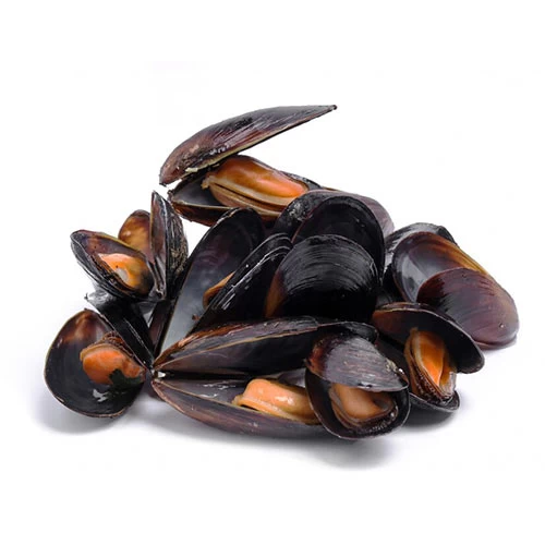 livraison Moules محار بلح البحر courses en ligne Gabes Tunisie supermarché vente en ligne poisson produits alimentaires livraison moules poissons Gabes