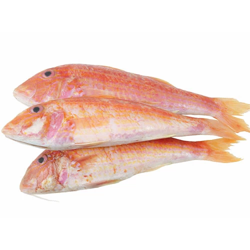 livraison Rouget Rouge تريلية courses en ligne Gabes Tunisie supermarché vente en ligne poisson produits alimentaires livraison poissons supermarché en ligne Gabes
