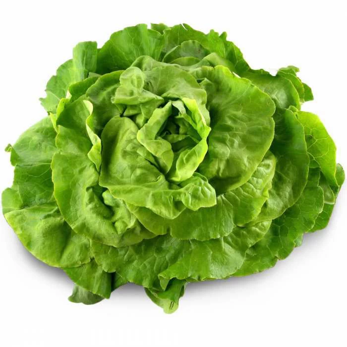 Laitue خس Courses en ligne Gabes Tunisie supermarché en ligne Gabes Tunisie vente en ligne Gabes Tunisie livraison à domicile Gabes Tunisie fru