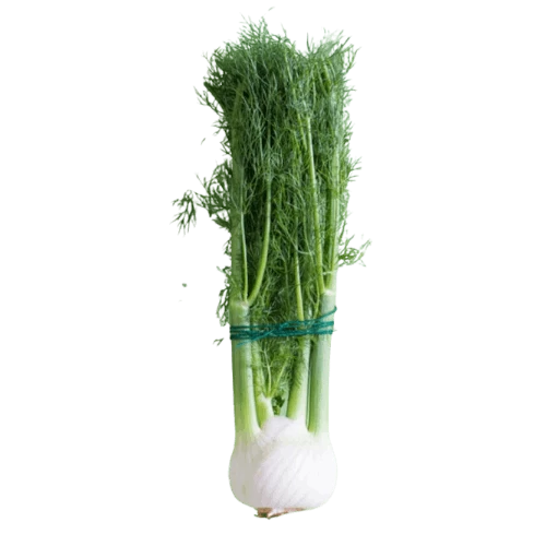 livraison Fenouil avec fanes بسباس أخضر بالورق livraison légumes gabes