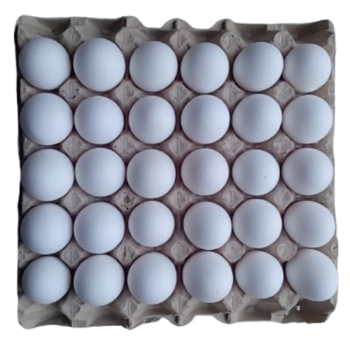 livraison gabes Plateau 30 oeufs بلاتو عظم vente en ligne produits alimentaires épicerie en ligne gabes supermarché en ligne gabès