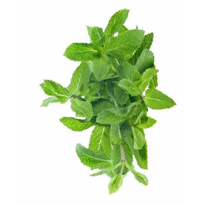 livraison Menthe fraiche نعناع أخضر courses en ligne gabes supermarché vente en ligne produits alimentaires livraison fruits légumes Gabes Tunisie