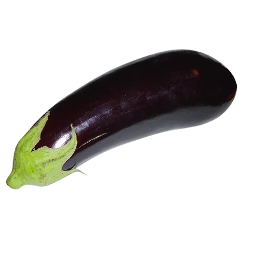 livraison Aubergine باذنجان livraison gabes